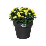 green basics top planter 30cm living black
